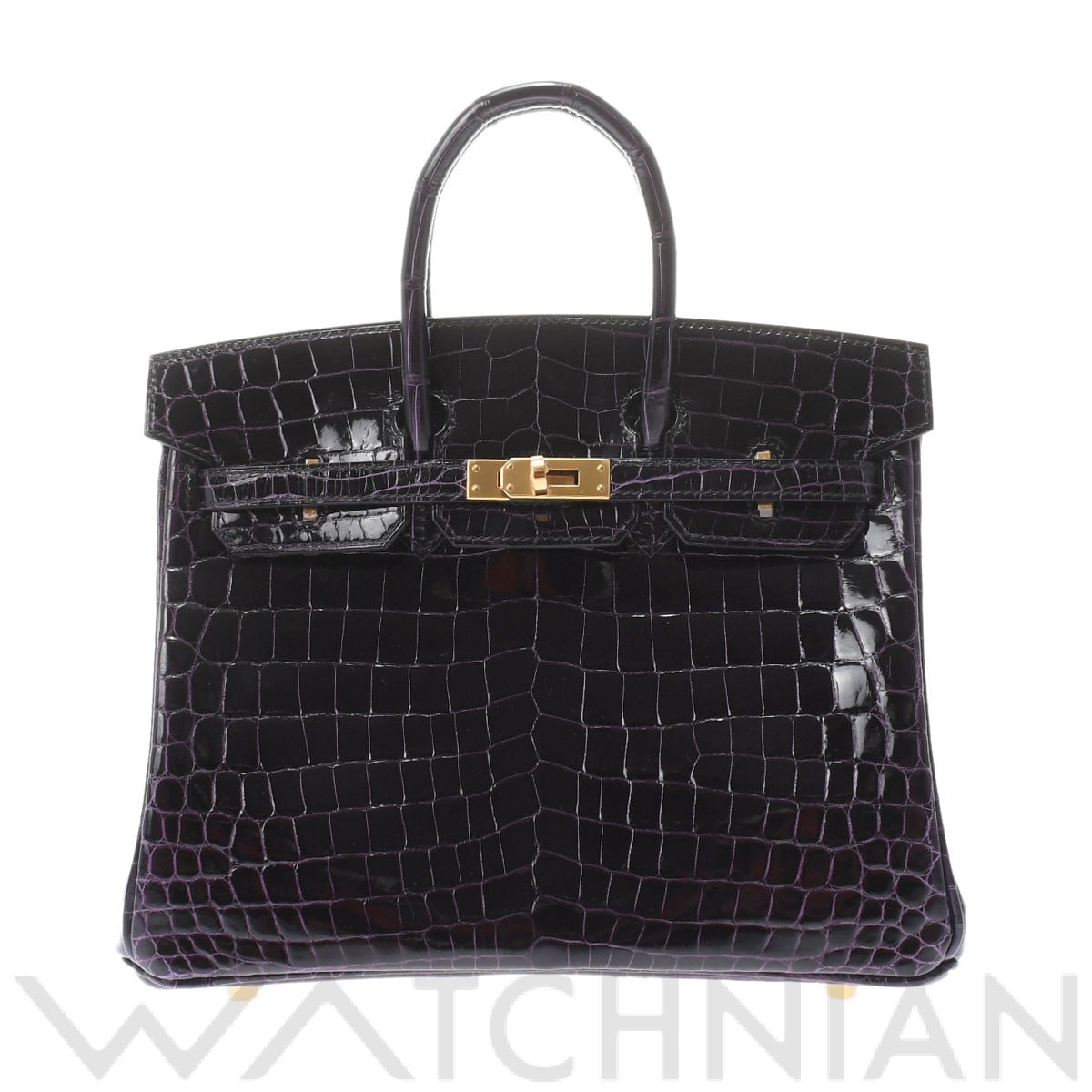 エルメス バーキン 25 オーベルジーヌ/ゴールド金具 ニロティカスリセ レディース バッグ 【未使用】【bag】
